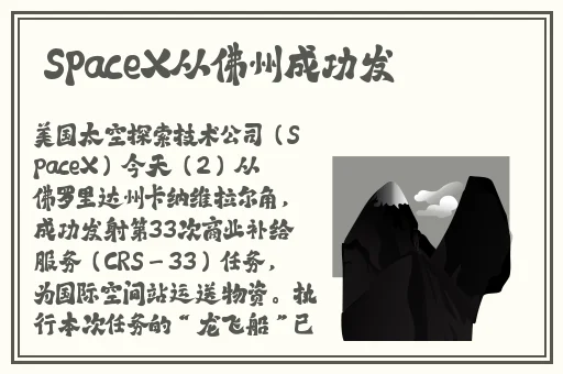 久久久久久精品免费不卡